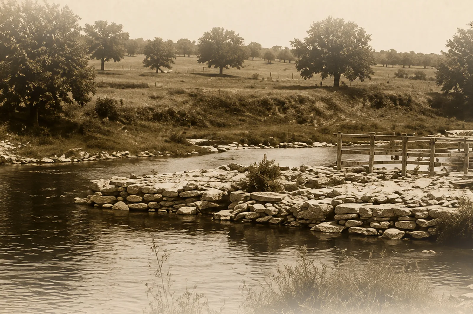 Brushy Creek, where Shiloh grew.