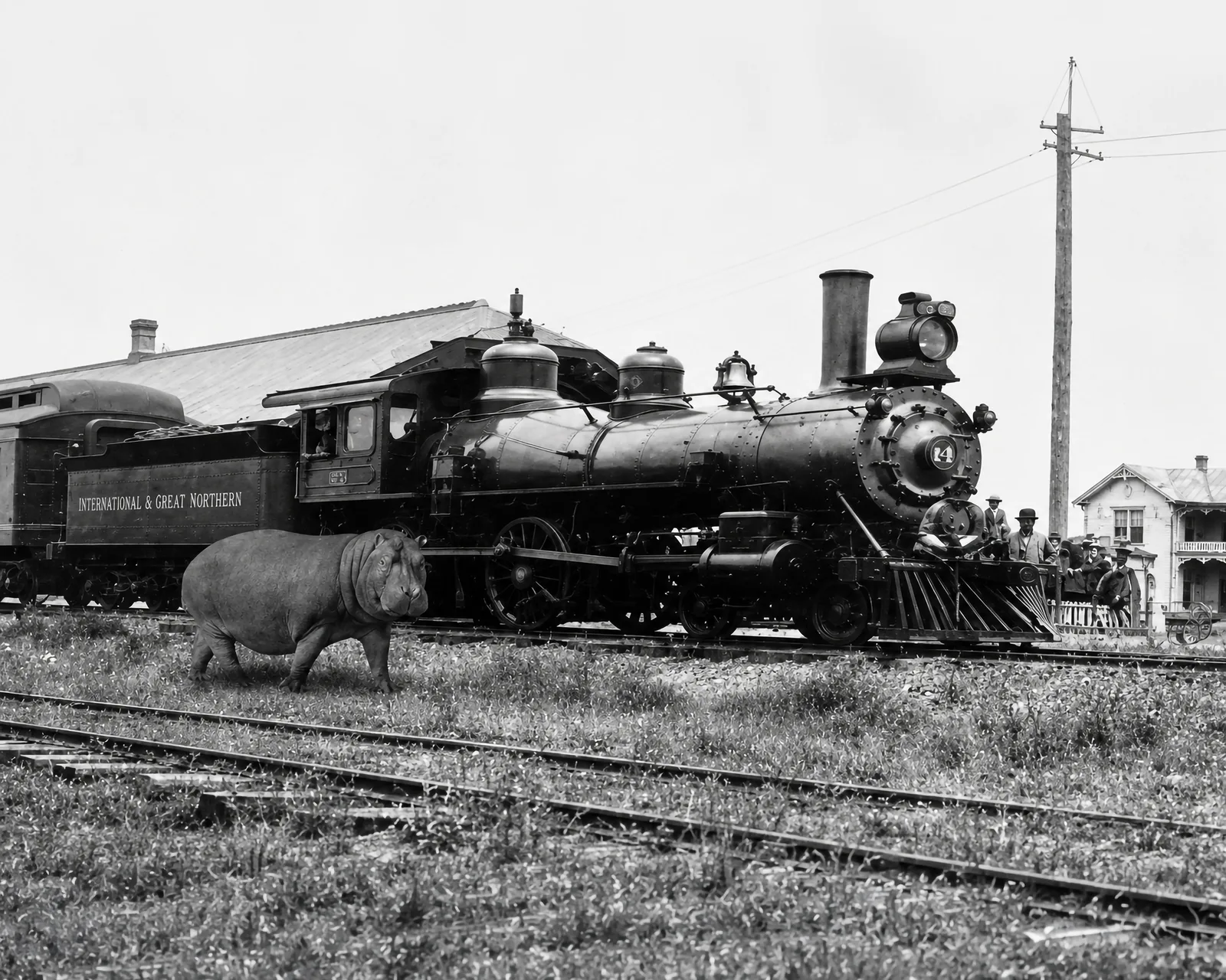A hippo beside an International and Great Northern train. Historical interpretation generated for illustrative purposes.