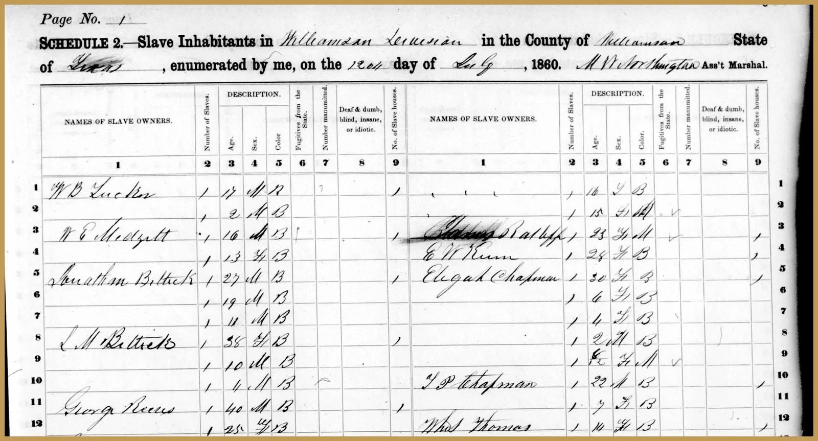 1860 U.S. Census Slave Schedule, Williamson County, Texas (detail). National Archives.